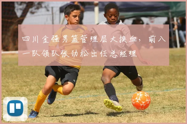 四川金强男篮管理层大换血,前八一队领队张劲松出任总经理